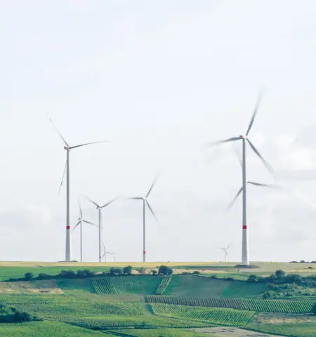 Wind Energy Distribution Network Management